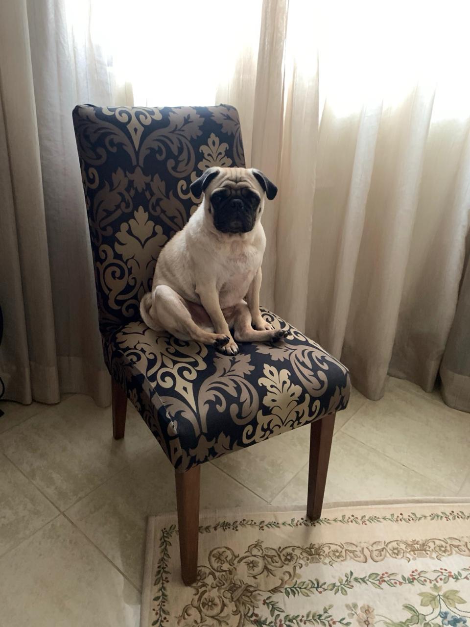 Memória de Lineu Silva - Lineuzinho